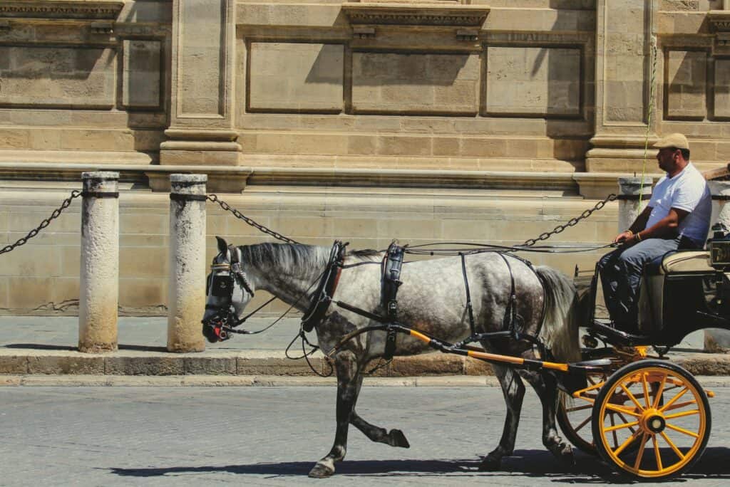 Seville - Carriage Ride Through The City Streets