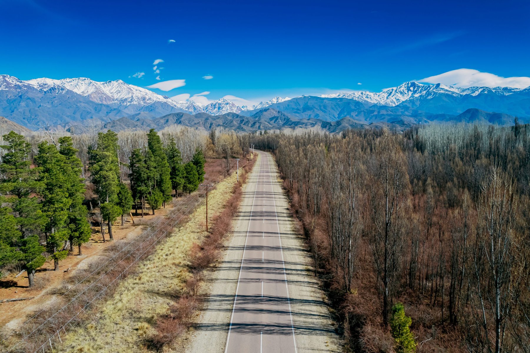 Mendoza, a great day trip from Buenos Aires