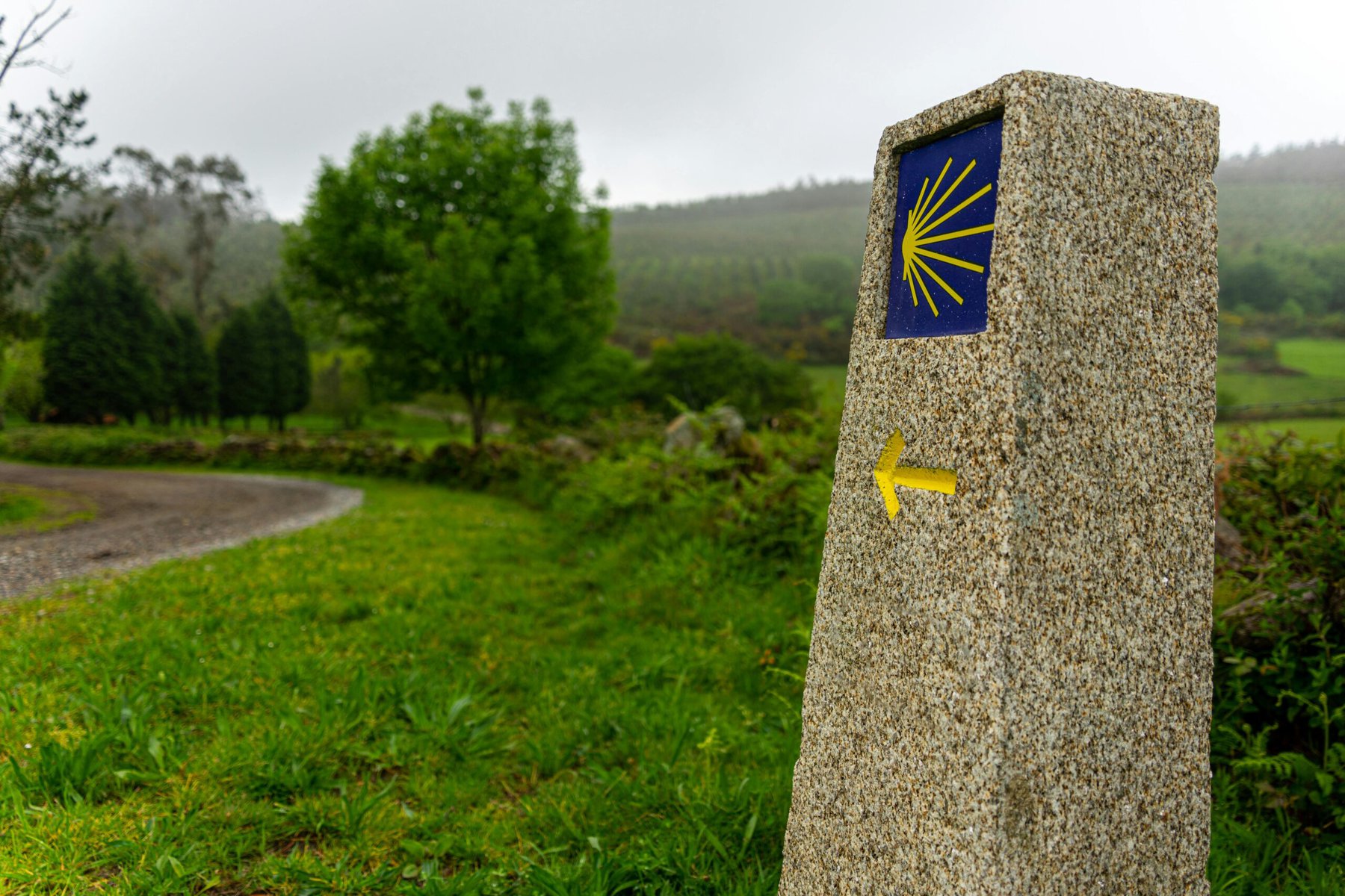 Camino De Santiago - the route goes through León