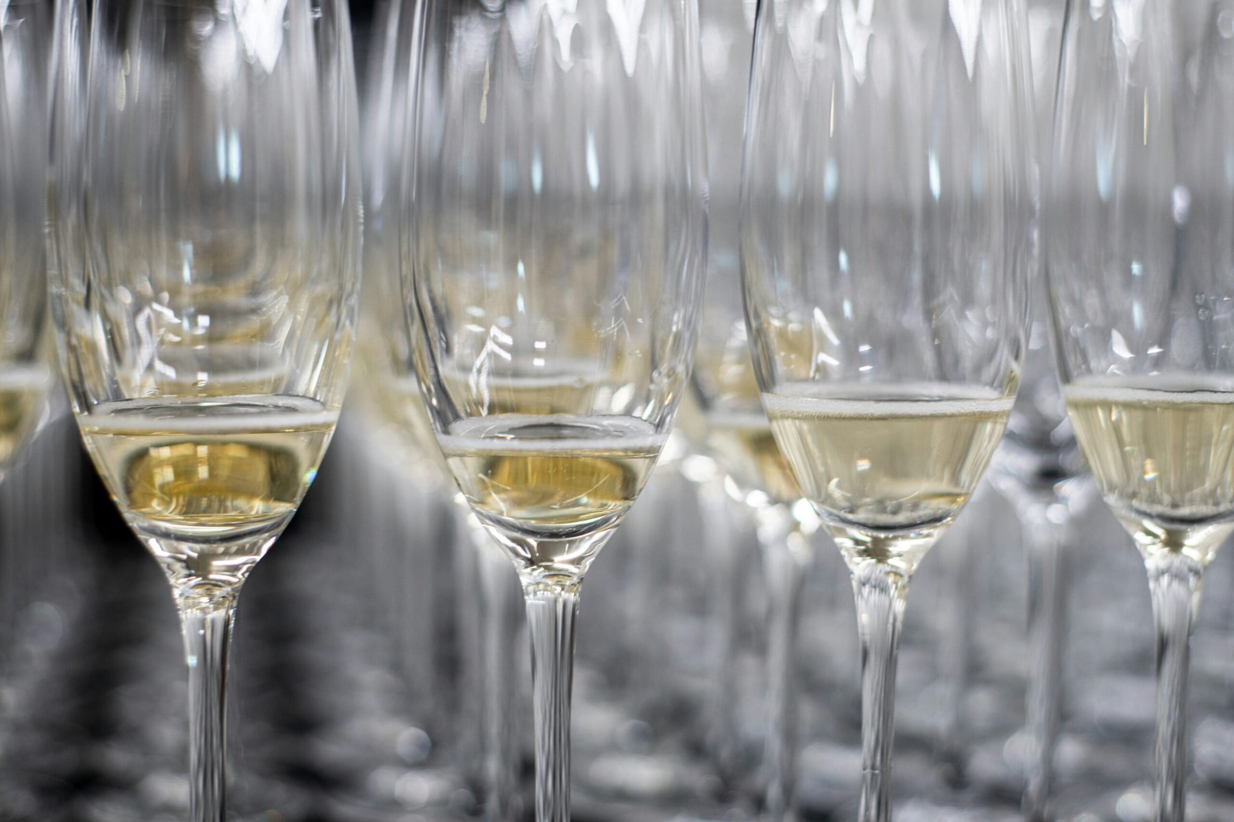 Best Vineyard And Wine Tours In Uruguay