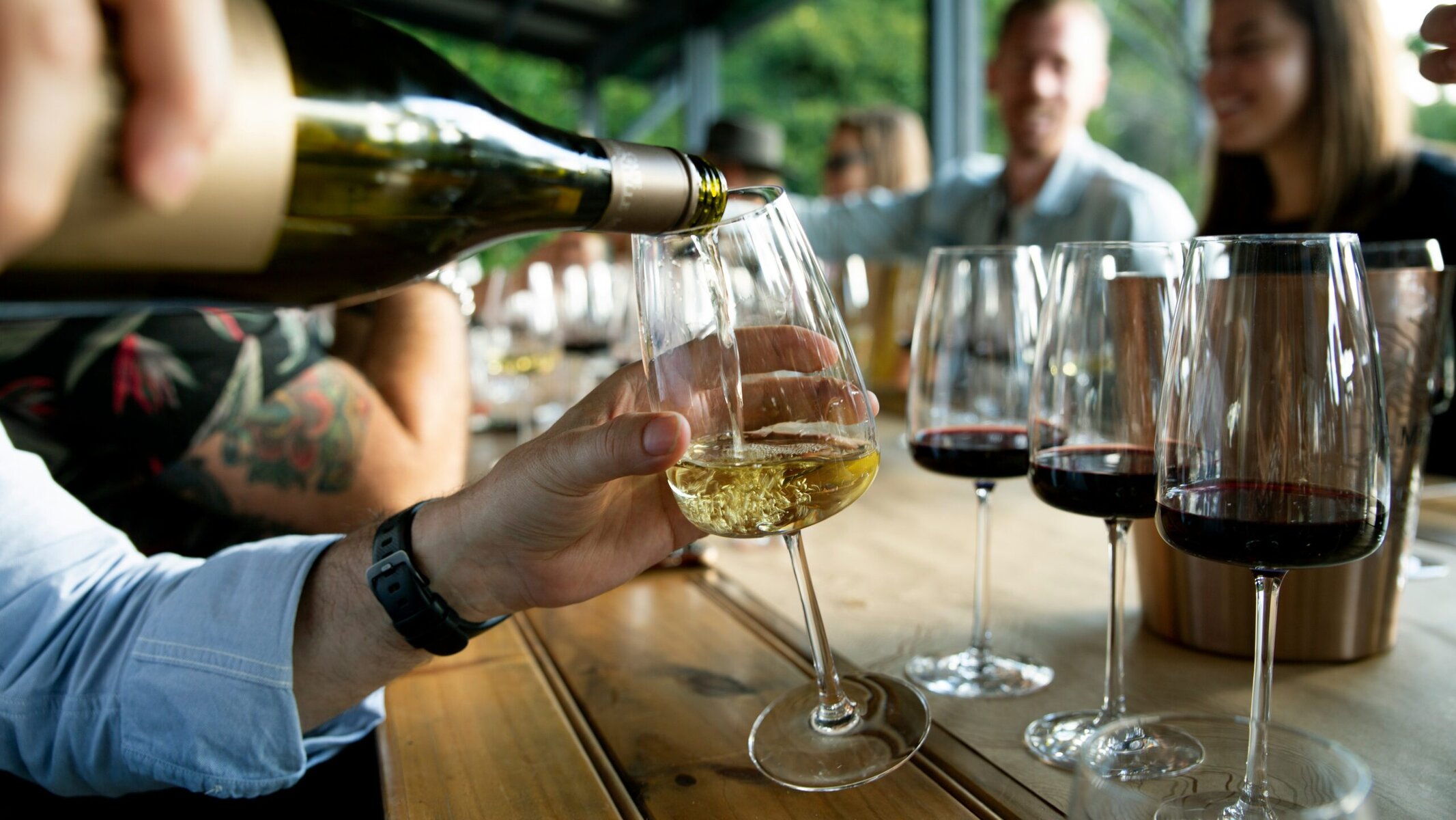 Best Vineyard And Wine Tours In Uruguay