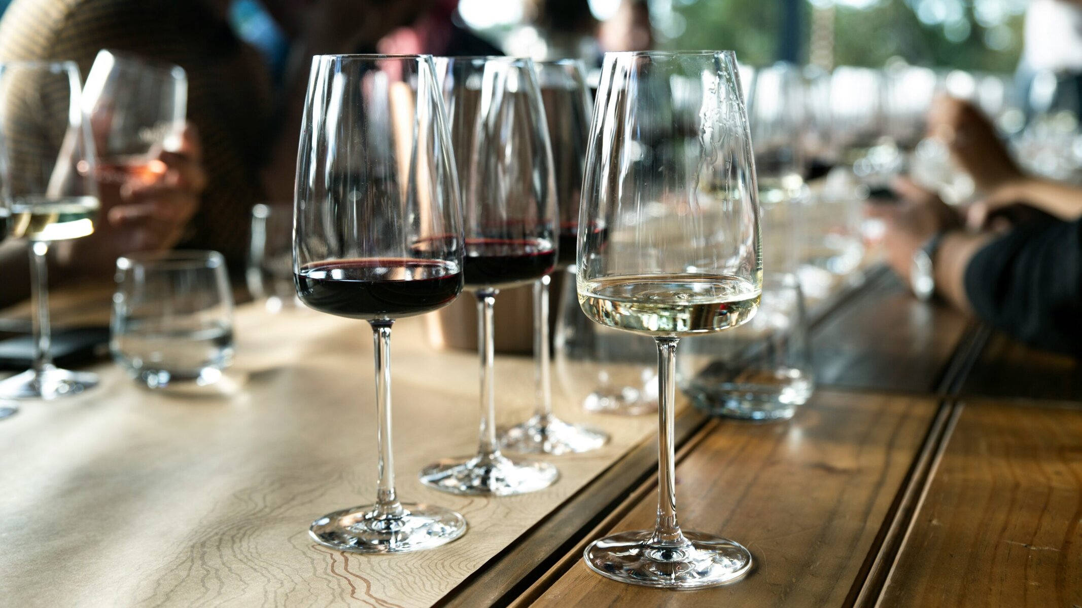 Best Vineyard And Wine Tours In Uruguay