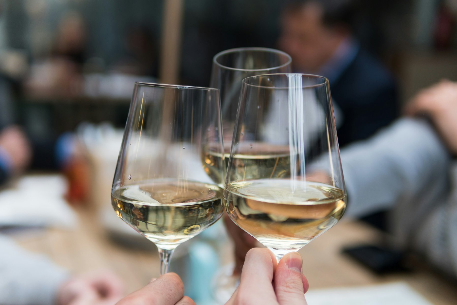 Best Vineyard And Wine Tours In Uruguay