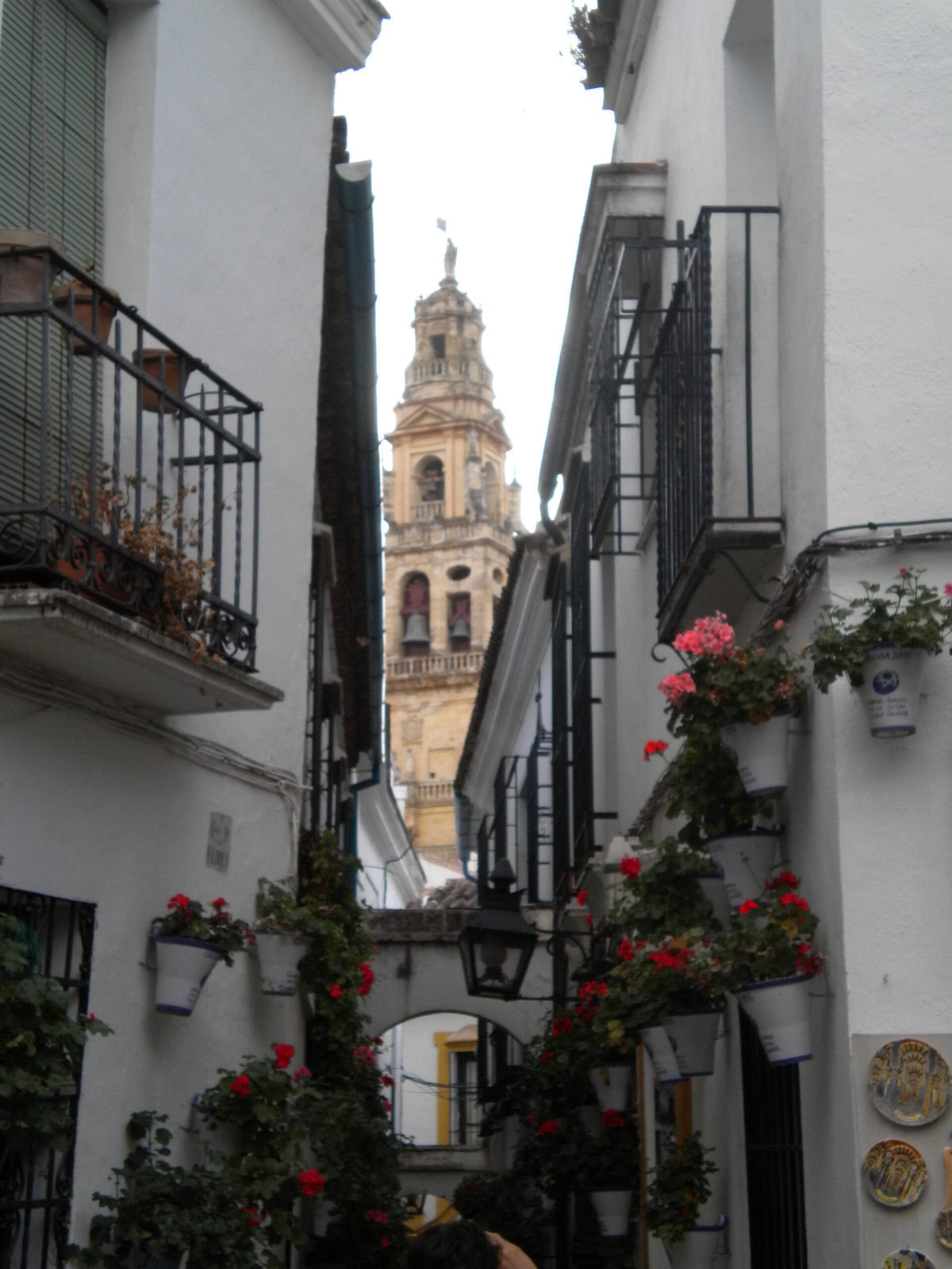 Córdoba's Calleja de las Flores