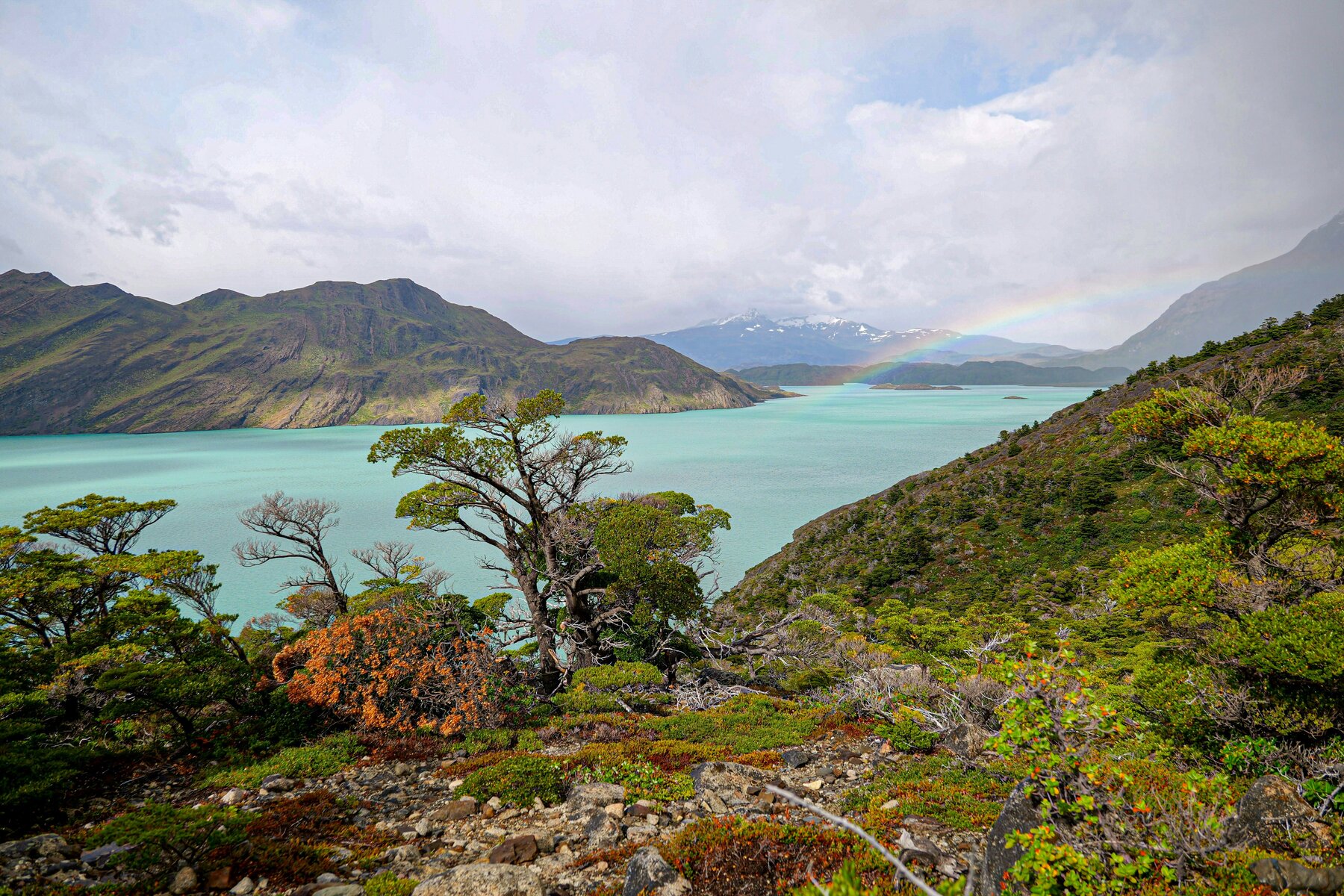 Stunning lakes of Torres Del Paine