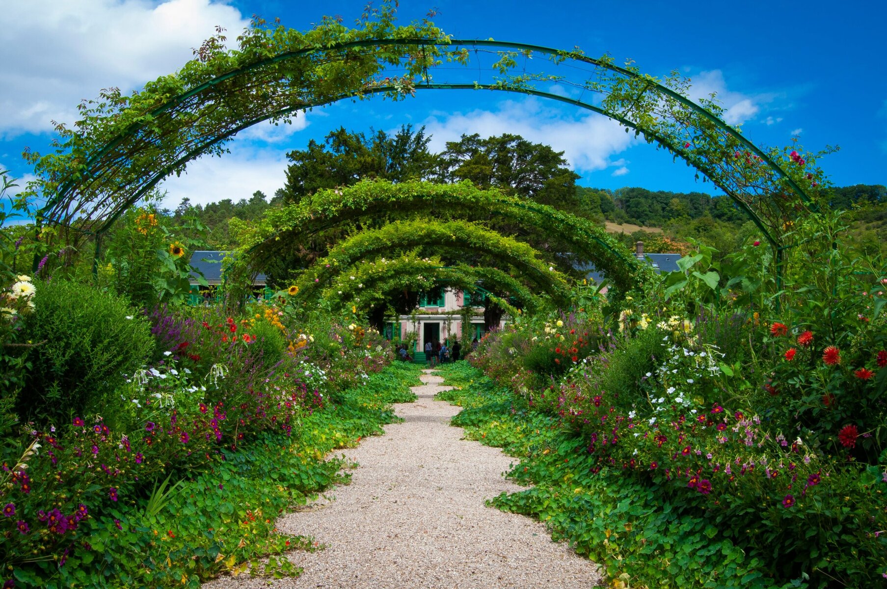 Monet's Garden Giverny