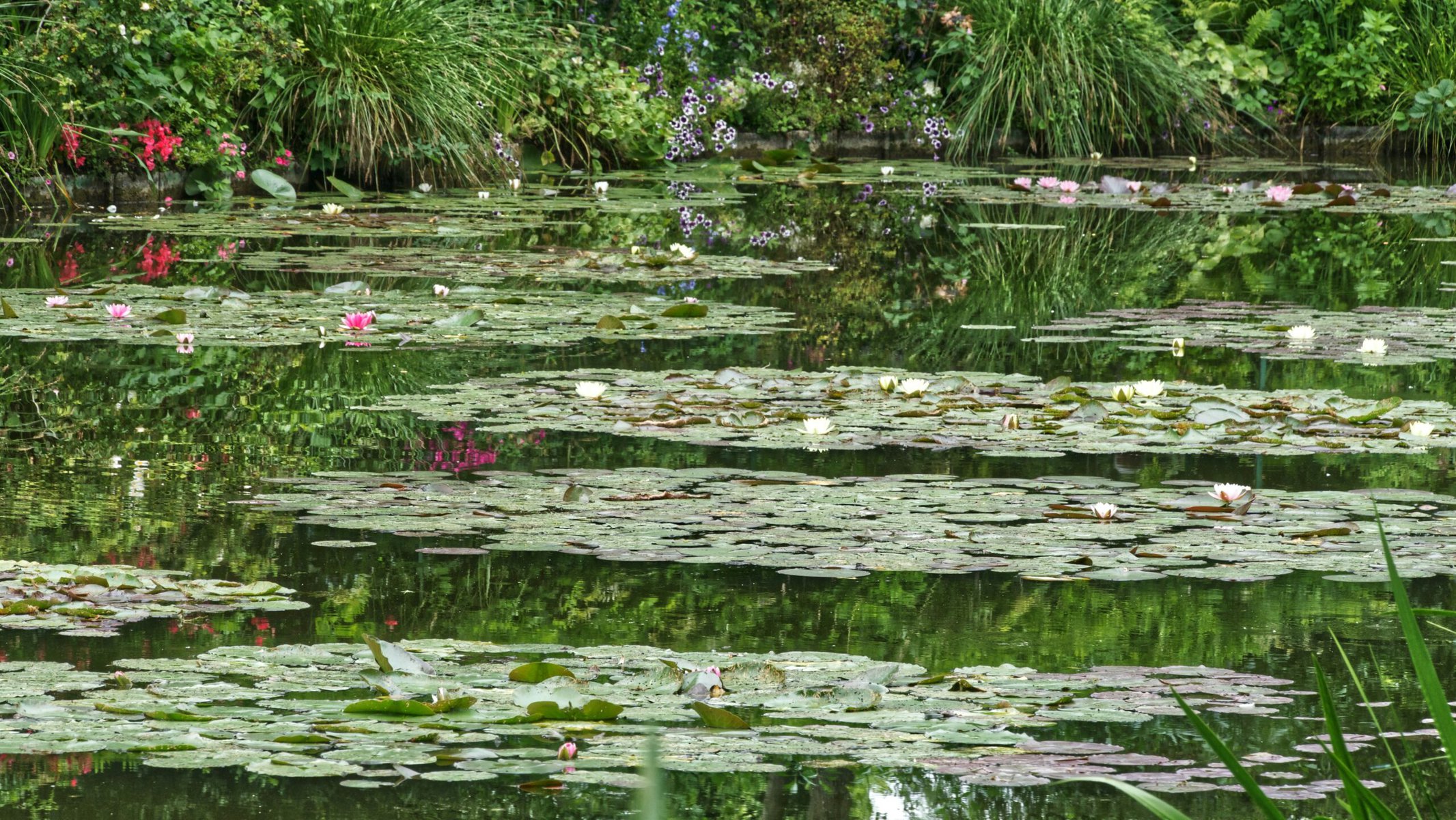 Monet's Garden Giverny